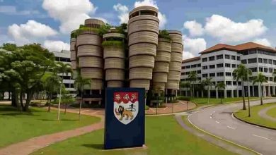 Theodore Kwan, kuliah di NTU, IQ 154