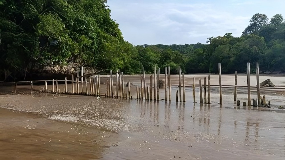 Rusa Cagar Alam Pangandaran