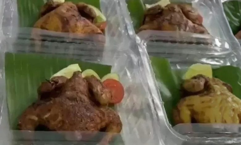 program makan bergizi