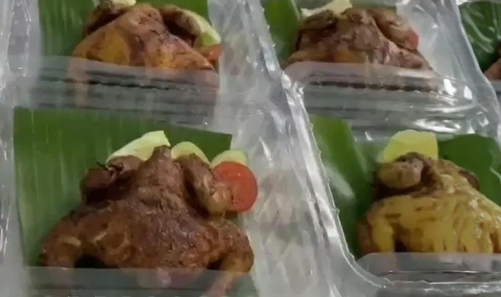 program makan bergizi