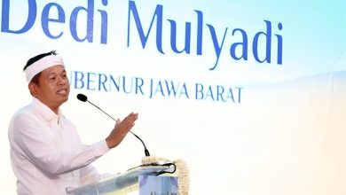 survei elektabilitas capres