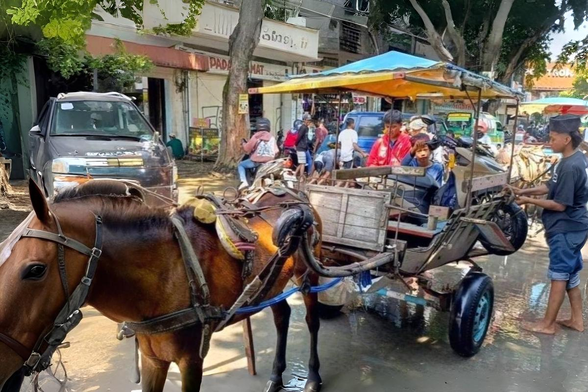 Banjir Dayeuhkolot Bandung