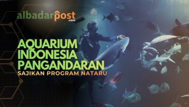 Aquarium Pangandaran