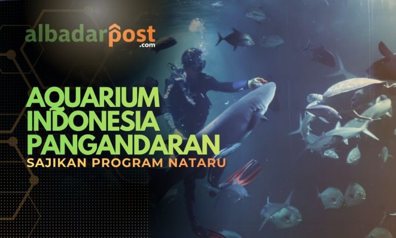 Aquarium Pangandaran