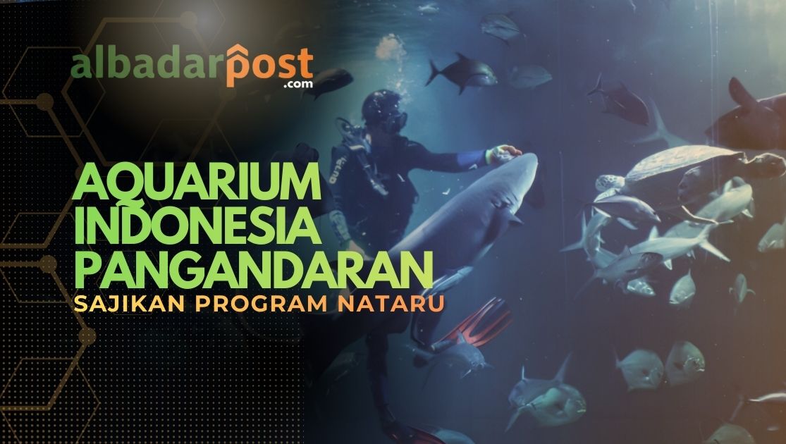 Aquarium Pangandaran