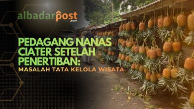 pedagang nanas Ciater