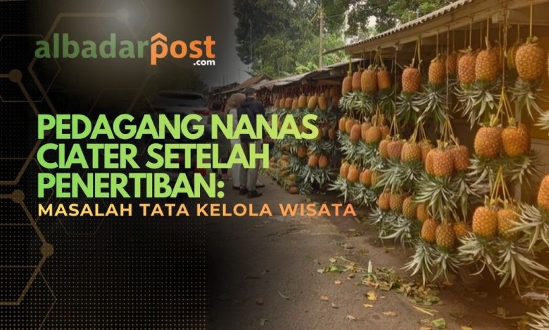 pedagang nanas Ciater