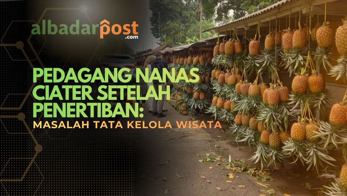 pedagang nanas Ciater