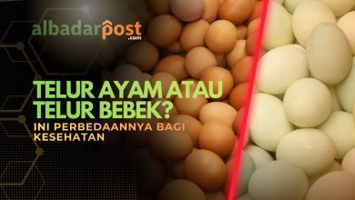 telur ayam bebek