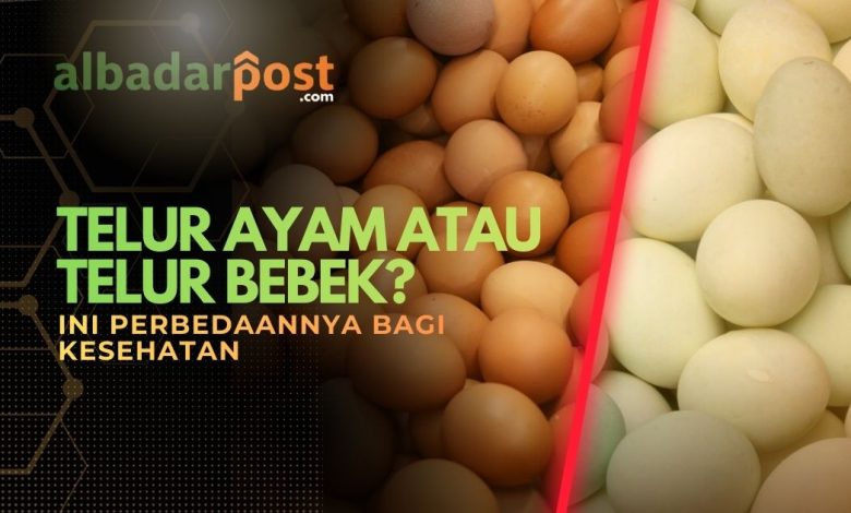 telur ayam bebek