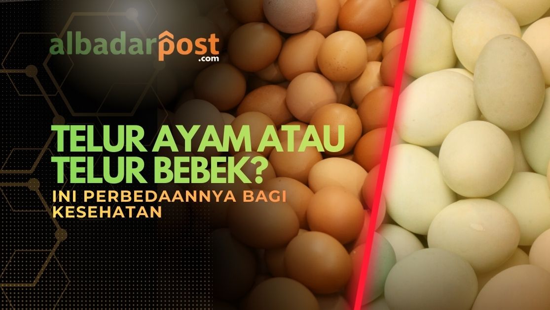 telur ayam bebek