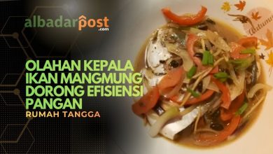 Kepala Ikan Mangmung