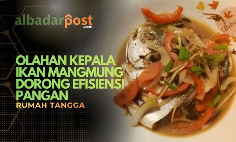 Kepala Ikan Mangmung