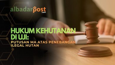 penebangan ilegal hutan