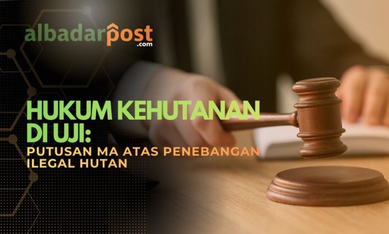 penebangan ilegal hutan