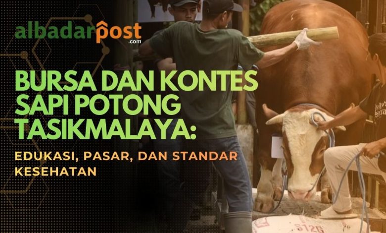 kontes sapi potong