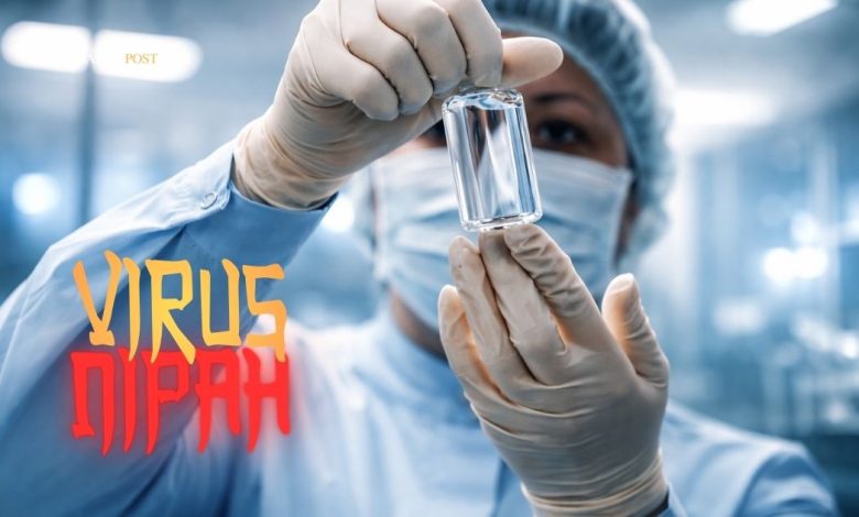 tambang pasir ilegal