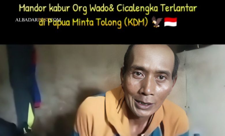 Video viral menampilkan lima pekerja asal Jawa Barat yang terlantar di Papua dan meminta bantuan agar bisa pulang ke kampung halaman.