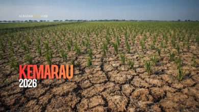 Ilustrasi lahan kering retak saat musim kemarau 2026 dengan latar langit cerah dan suhu panas ekstrem.