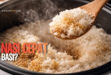 Ilustrasi nasi putih yang cepat basi akibat kesalahan memasak dan penyimpanan yang sering tidak disadari