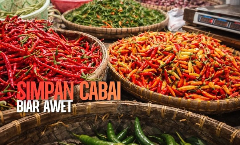 Ilustrasi cabai merah segar disimpan dalam wadah kedap udara dengan tisu kering agar tahan lama dan tidak cepat busuk.