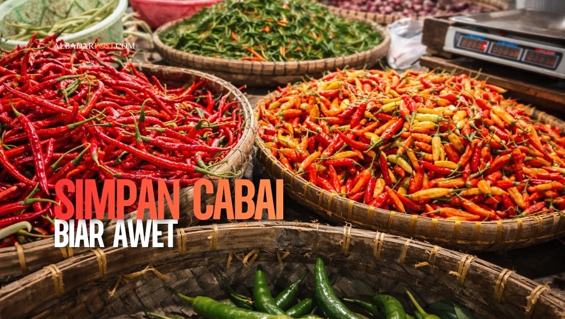 Ilustrasi cabai merah segar disimpan dalam wadah kedap udara dengan tisu kering agar tahan lama dan tidak cepat busuk.