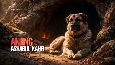 Ilustrasi anjing Ashabul Kahfi bernama Qitmir menjaga pintu gua tempat para pemuda beriman tertidur ratusan tahun.