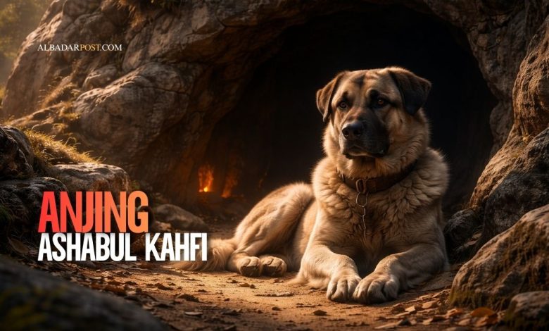 Ilustrasi anjing Ashabul Kahfi bernama Qitmir menjaga pintu gua tempat para pemuda beriman tertidur ratusan tahun.