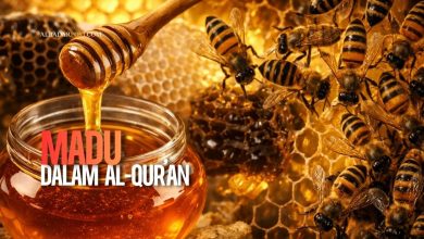 Ilustrasi madu dalam Al-Qur’an Surah An-Nahl ayat 69 sebagai syifa dan tanda kebesaran Allah.
