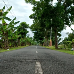 klasifikasi jalan Indonesia