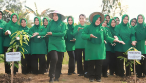 Persit tanam pohon saat HUT ke-80 dengan kegiatan penghijauan dan penanaman pohon buah untuk lingkungan dan ketahanan pangan