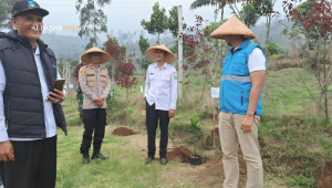 penanaman pohon Garut