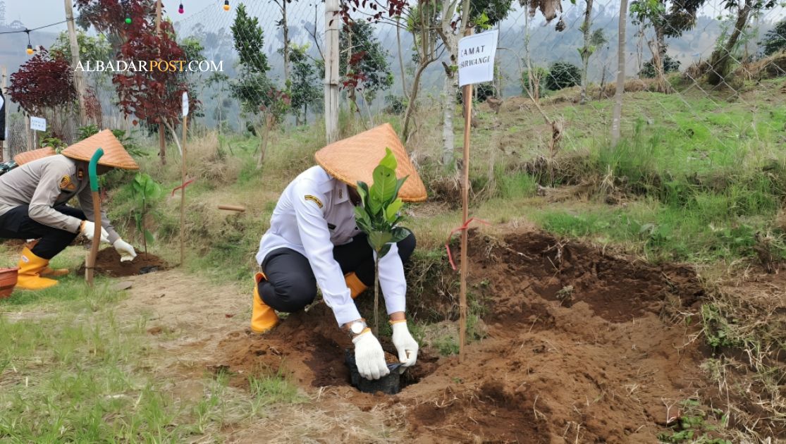 Warga dan aparat menanam 1000 pohon di Embung Padaawas Garut dengan kondisi tanah basah untuk mencegah longsor dan banjir
