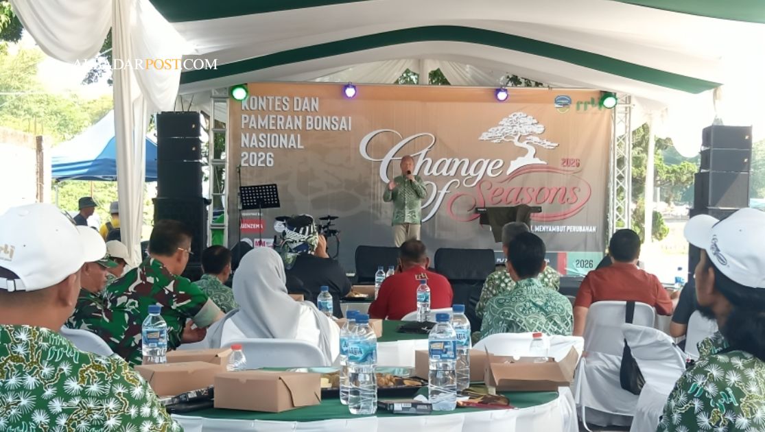 kontes bonsai Tasikmalaya