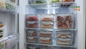 Ilustrasi daging segar disimpan rapi di dalam freezer menggunakan wadah tertutup agar tetap aman dan tahan lama.