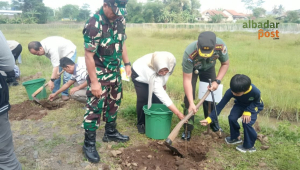Tanam Pohon