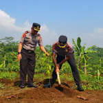 Penanaman Pohon