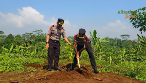 Penanaman Pohon