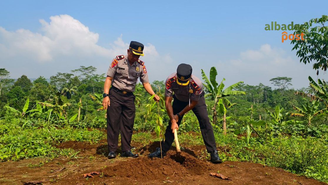 Penanaman Pohon