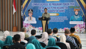 PKK Ciamis