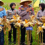 Ketahanan Pangan