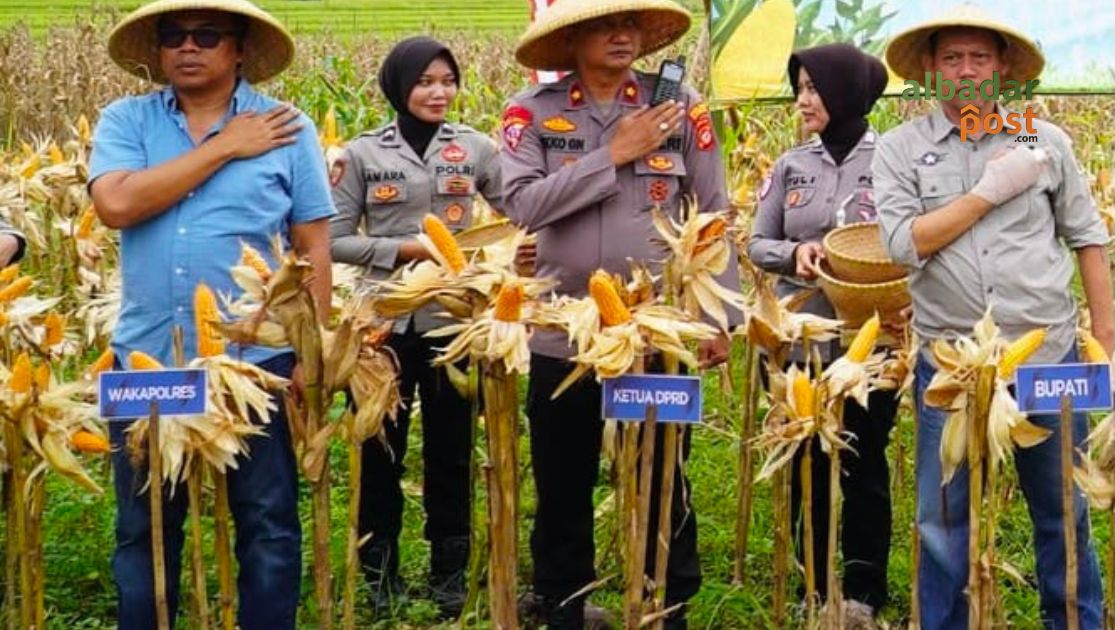 Ketahanan Pangan