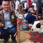 Pesta Patok Tasik