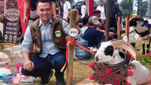 Pesta Patok Tasik