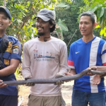 Kobra Kota Banjar