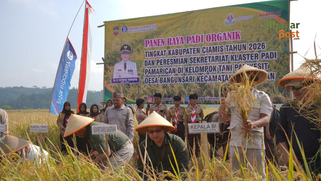 Panen Raya Ciamis