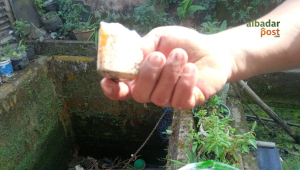 Fosfor Tugu Koperasi