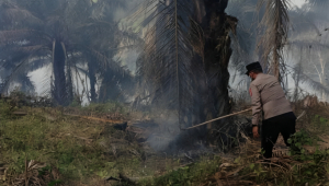Kebakaran Lahan Garut
