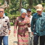 Bantuan Bencana Pangandaran