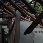 Pohon Tumbang Ciamis